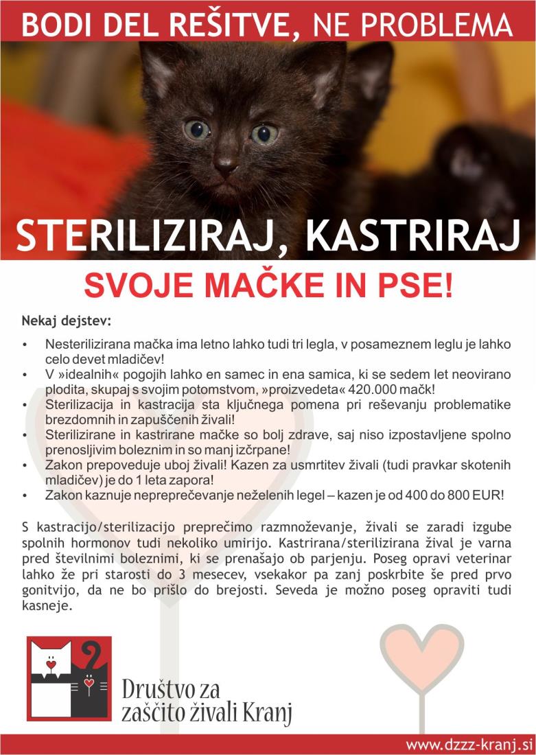 što znači sterilizacija za pse